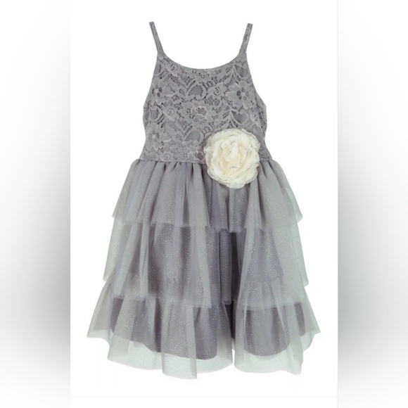 Pink & Violet Other - Nwt PINK & VIOLET Toddler Girls Sleeveless Lace Glitter Mesh Dress